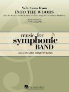 Selections From Into The Woods Download