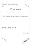 Triptyque d'après "Der Krieg" d'Otto Dix 