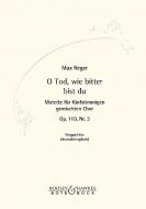 Three Motets Op. 110 