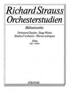 Études d'orchestre Vol. 1 