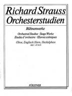Orchestral Studies from his Stage Works: Flute Vol. 1 