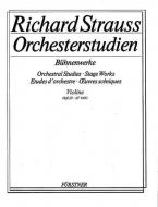 Orchestra Studies: Violin 1 Vol. 3 