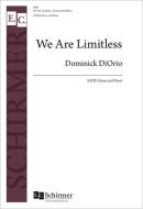 We Are Limitless 