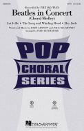 Beatles In Concert Download