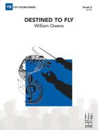 Destined to Fly Standard