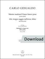 Mentre madonn’il lasso fianco posa (prima parte) - Ahi, troppo saggia nell’errar, felice (seconda parte) 