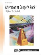 Afternoon At Cooper's Rock 