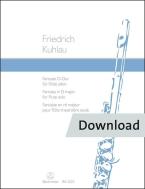 Fantaisie pour flûte solo Download