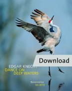 Danse sur les eaux profondes Download