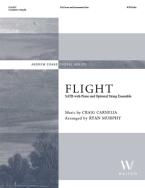 Flight 