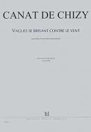 Vagues se brisant contre le vent 