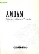 Concerto pour cor et orchestre 