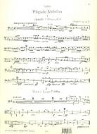 2 elegische Melodien op. 34 