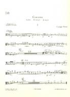 Concerto D Major 