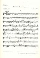 Andante and Rondo Ungarese Standard
