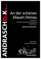 An der schönen blauen Donau 