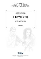 Labyrinth Standard