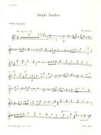 Simple Samba 