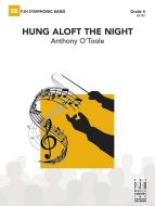 hung aloft the night 