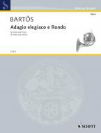 Adagio elegiaco e Rondo Standard