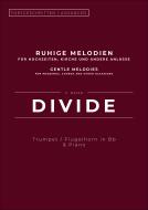 Divide 