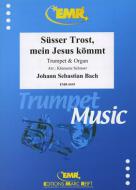 Süsser Trost, mein Jesus kömmt Standard
