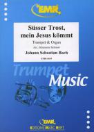 Süsser Trost, mein Jesus kömmt Standard