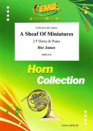 A Sheaf Of Miniatures Standard