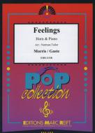 Feelings Standard