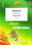 Konzert Standard