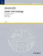 Lieder und Gesänge Heft 2 Standard