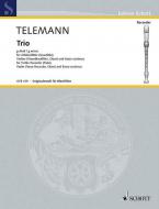 Trio G Minor Standard