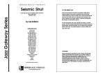 Seismic Strut 
