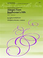 Allegro From Beethoven's 5th Symphony C minor op. 67 Download
