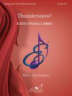 Thundersnow! 