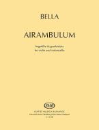 Airambulum 