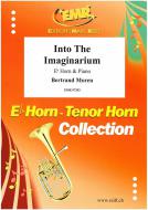 Into The Imaginarium Standard