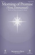 Morning of Promise - Flute (opt. Picc/Pennywhistle) 