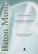 Una furtiva lagrima Download