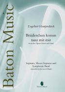 Brüderchen komm tanz mit mir Download