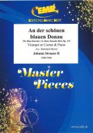 Le Beau Danube Bleu op. 314 Download