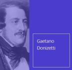 Quel guardo il cavaliere Download