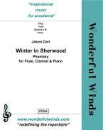 Winter in Sherwood 