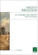 Il Colore del Vento 