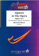 Alphorn At The Opera Standard