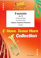 Fantaisie op. 94 Standard