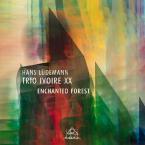 Enchanted Forest 