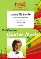 Amaryllis Samba Standard