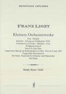 Kleinere Orchesterwerke 