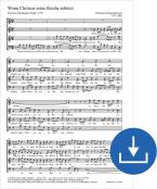 Wenn Christus seine Kirche schützt Download